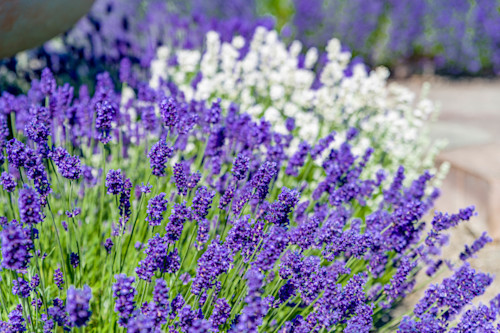 Port ludlow 3569 jfn7dz