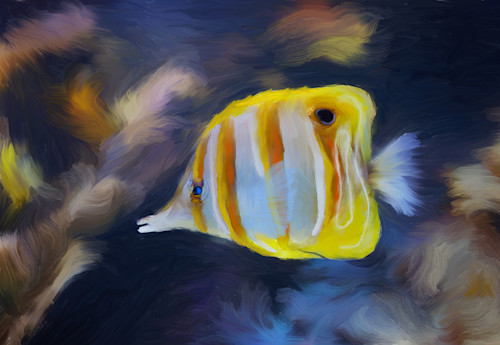 Yellow fish qqhita