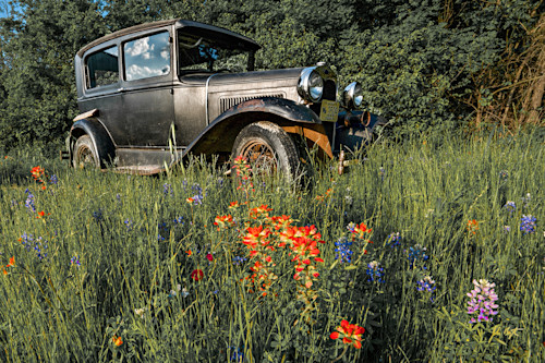 Ford model a in wildflowers 24x36 j1cvxl