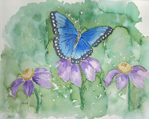 Blue butterfly print d639cc