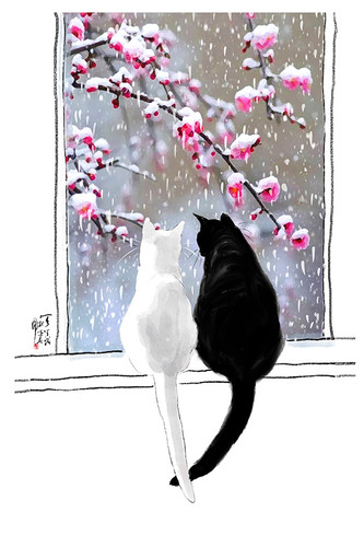 Cat And Moon Art | Cheng Yan Studio
