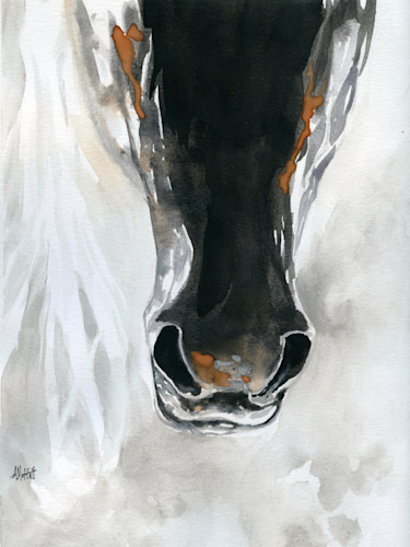 Dark horse nose077 soawx5