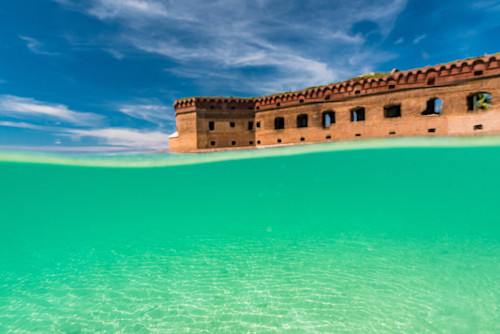 Key west trip day 5 fort jefferson dry tortugas  3751 hrsm28