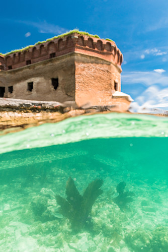 Key west trip day 5 fort jefferson dry tortugas  3696 e2ysjw