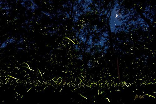 Fireflies under crescent moon pryor oklahoma asf ybga8p