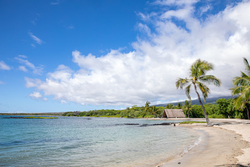 Hawaiian sunshine 5118 getyco