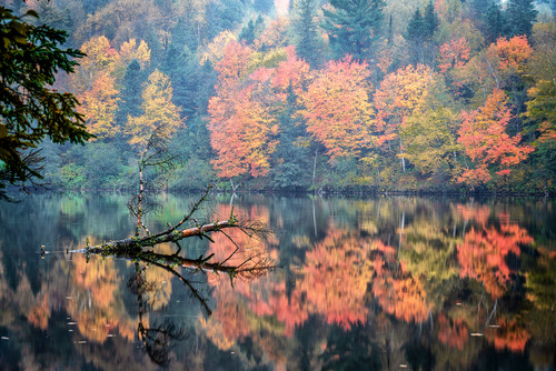 Autumn river reflections 2 gqelbn