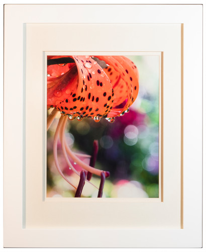 Tiger lily tears 13x16 22 framed and matted eqt2hh