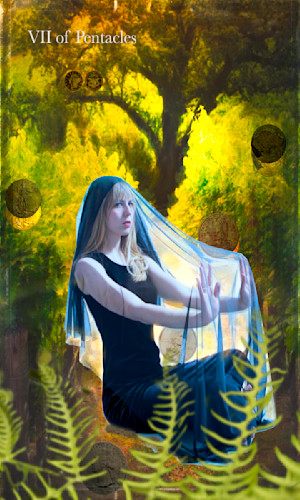 7 of pentacles t1mxsy