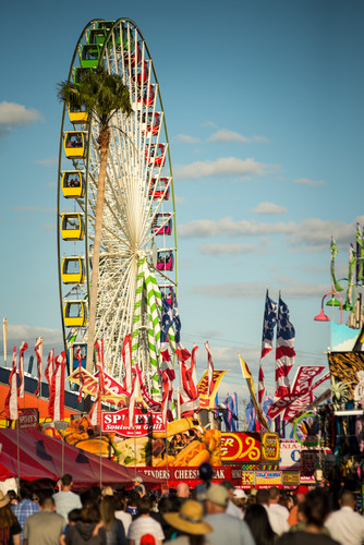 Fairday9650 pzdadi