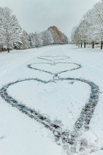 The heart of winter y5sigo