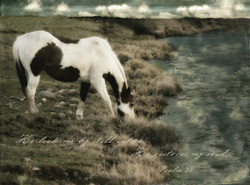 Horse at water v s c11mgh
