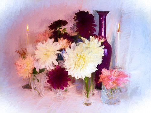 Dahlia romance vw5mua