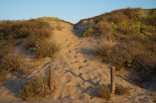Sand dune morro bay california 2021 ugpxag