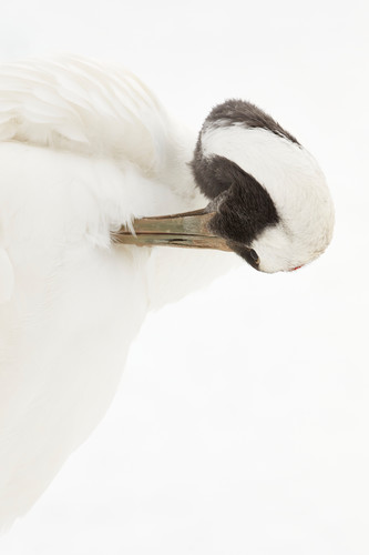 Mbp hokkaido 20180223 5d18143 uhtcgv