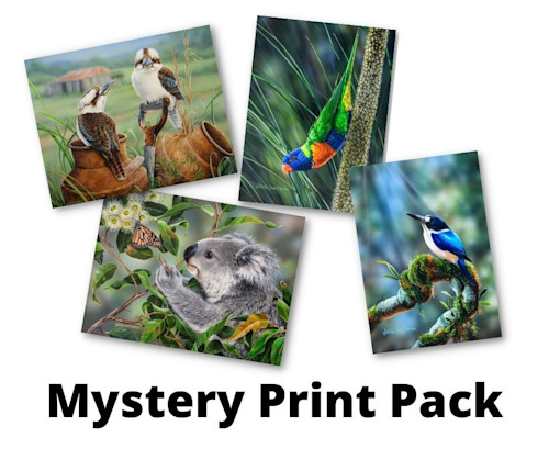 Mystery print pack leawrs