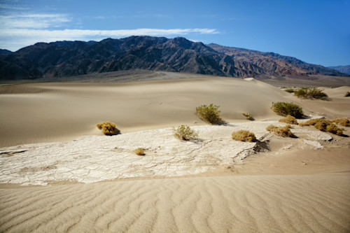 California  death valley mesquite sand dune jj7sbd