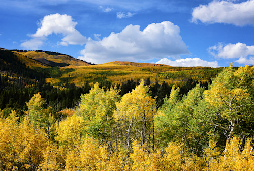 Colorado  aspen  independence pass  twin lakes  september 2021 187dfinevivpcdlccp10cropemail eqaiq1