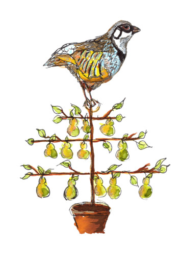 Partridge in a pear tree w signature qy4w31