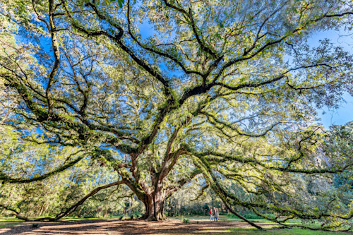 Tallahassee trip   6 v4qqb7