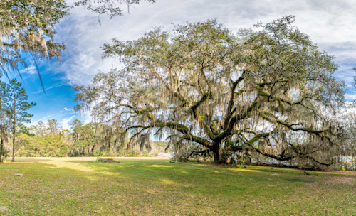 Tallahassee trip   9 hu1qaq