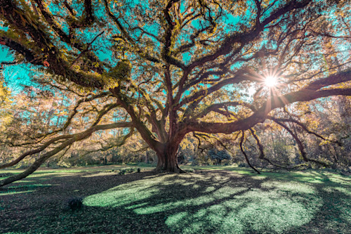 Tallahassee trip  1800 c2wjbc