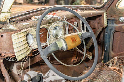 Tallahassee trip  2519 b1qhjo