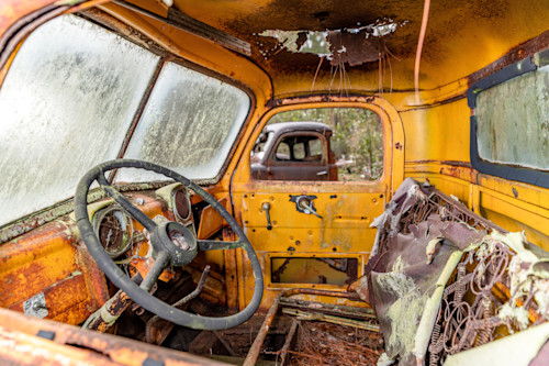 Tallahassee trip  2563 drgziz