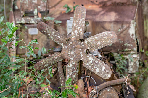 Tallahassee trip  2619 crpyk0