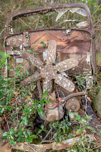 Tallahassee trip  2621 qapayy