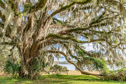 Tallahassee trip  2883 z4wrdv