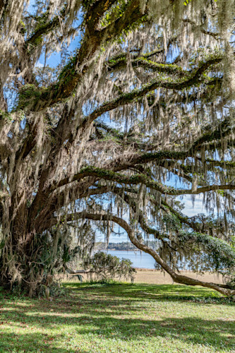 Tallahassee trip  2885 i2hhon