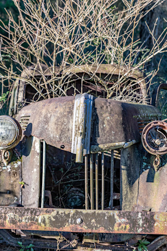 Tallahassee trip  23716 r2uovt