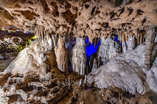 Tallahassee trip  24521 y9j4xh