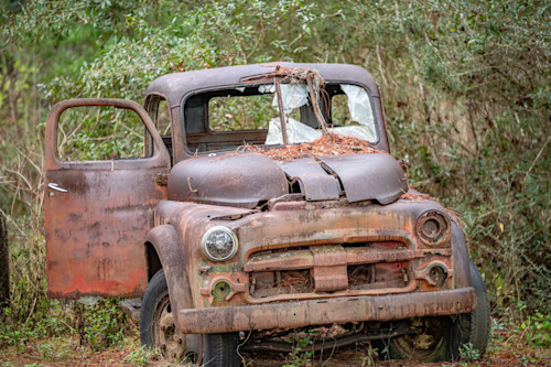 Tallahassee trip  24644 lrz7er