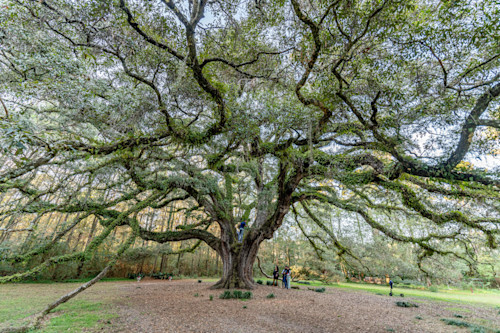 Tallahassee trip  24921 uw0by2