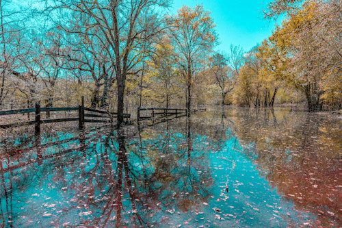 Springtime along the suwanee 27076 mw3if4