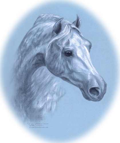 Candy Art | Classic Lines Gallery LLC