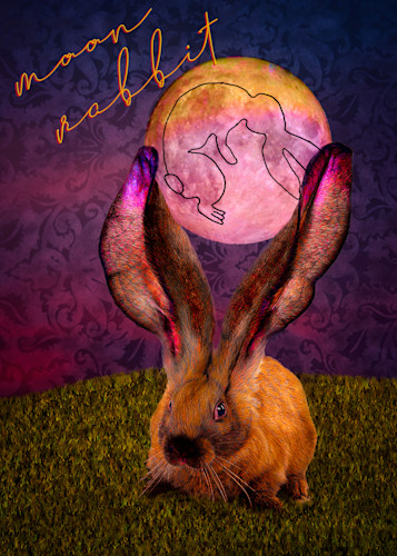 Rabbit moon rgtc0i