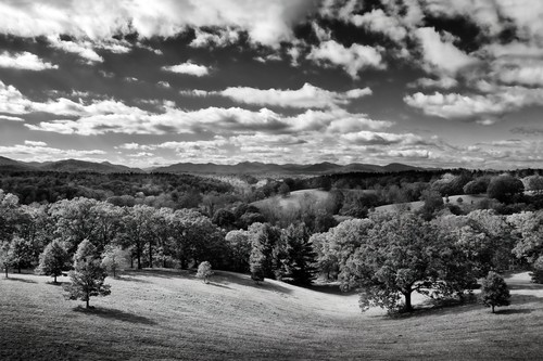 Jkp41 2722 hills and trees bw gigapixel low res width 12240px xa7ghu