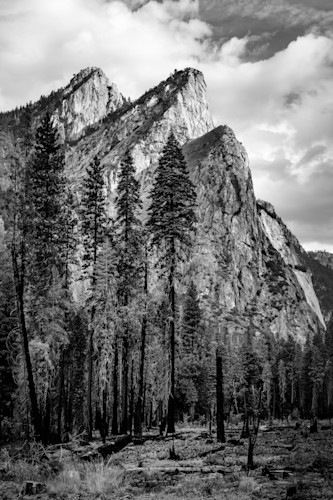 Monochromatic visions yosemite 5 california 2021 domydk