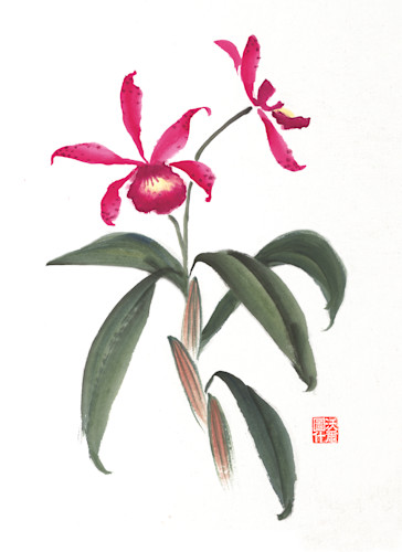 8.5x11 available orchid 2 awftcs