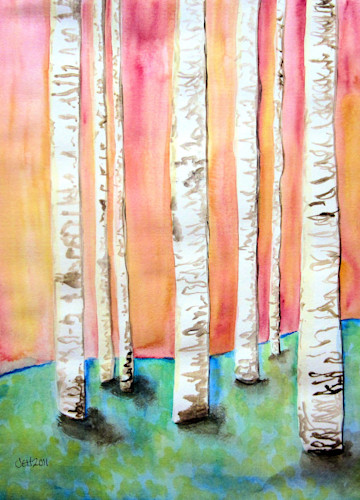 Birch trees 12x16 d5j3cs