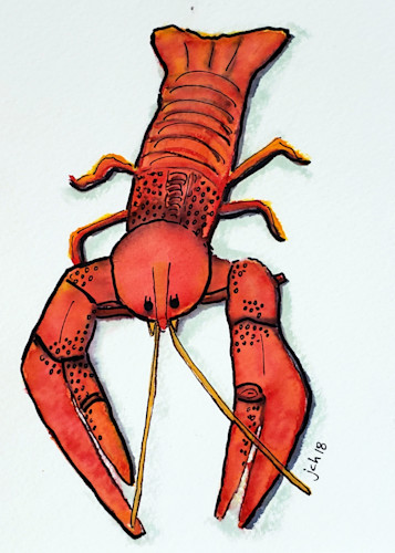 Crawdad 5x7 cevr6b