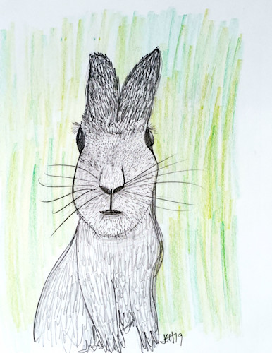Sketchbook rabbit 8.5x11 jelghx