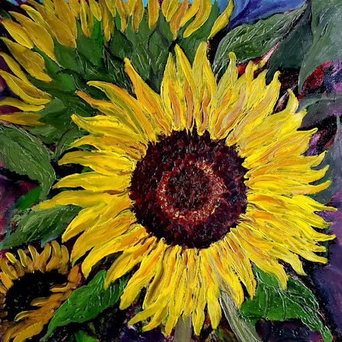 Sunflower portrait xni95e
