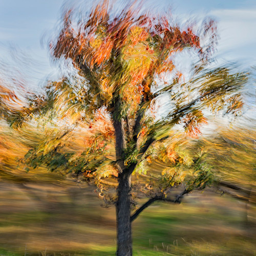Fall tree 3 byympr
