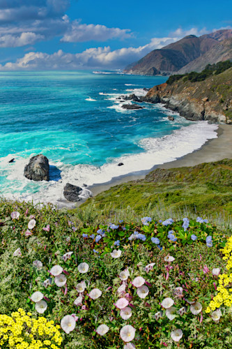 Big sur and beach overlook california fihsoo