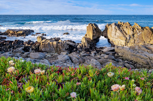 Kissing rocks pacific grove california zt9uhc