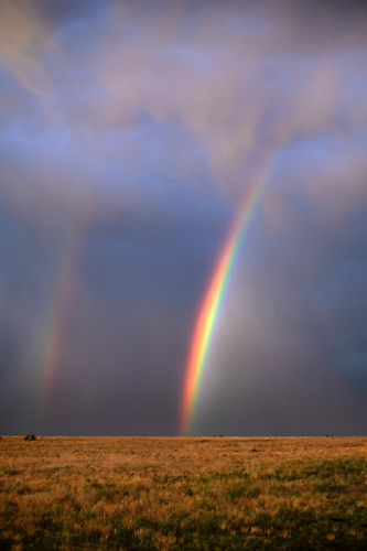 A promise you can trust s4trlx